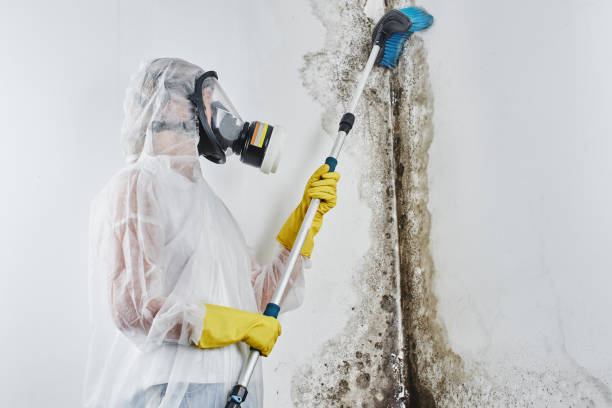 Mold Remediation for Rental Properties in Tecumseh, OK