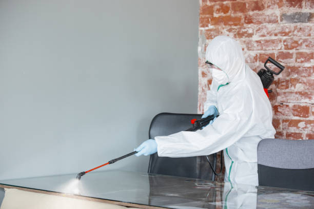 Best Crawl Space Mold Remediation  in Tecumseh, OK